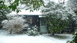 Snowing Lodge